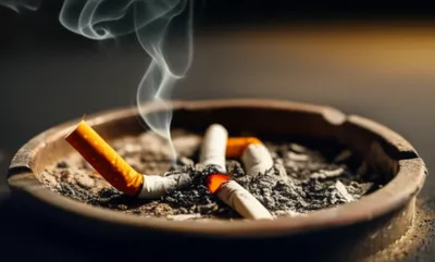 Illustration bine - Image 1