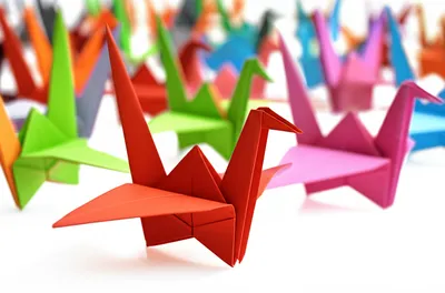 Illustration especial - Image 1