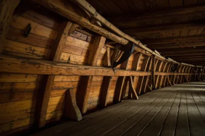 Illustration rung - Image 1