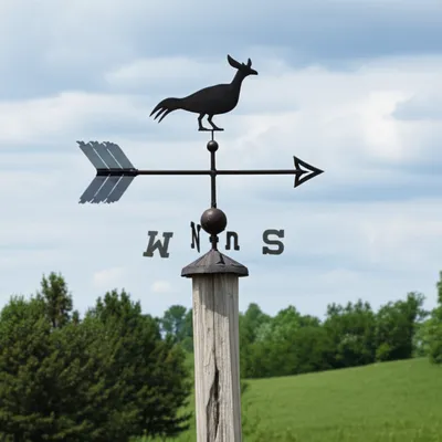 Illustration backed - Image 1