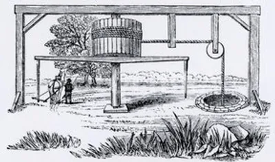 Illustration whim - Image 2