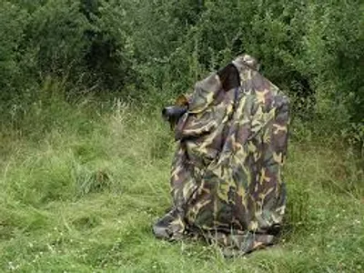 Illustration hide - Image 3