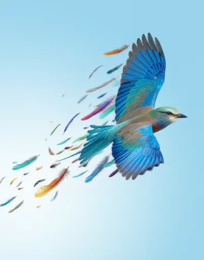 Illustration mewing - Image 1