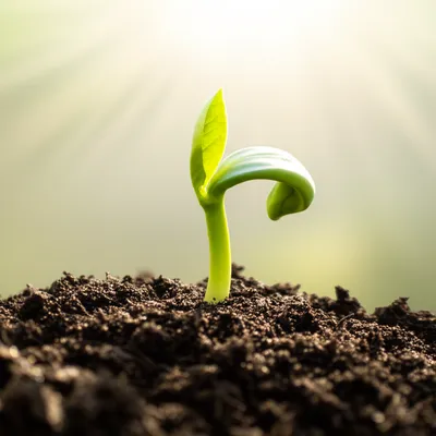 Illustration positive - Image 1