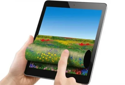 Illustration scrolls - Image 1