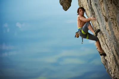 Illustration purchases - Image 1