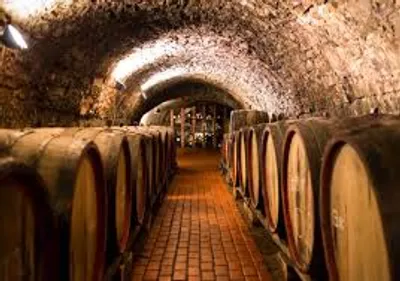 Illustration vault - Image 3