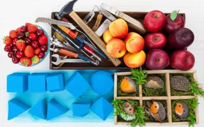 Illustration categorized - Image 1