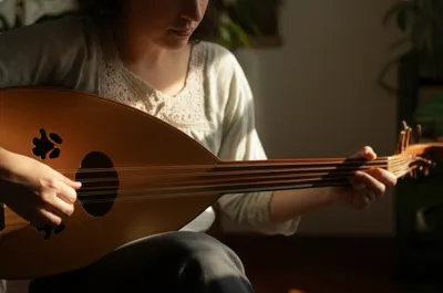 Illustration lute - Image 1