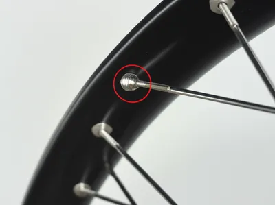 Illustration nipple - Image 1