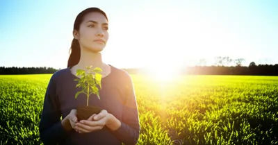 Illustration intends