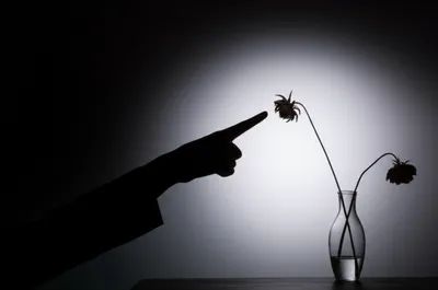 Illustration imputing - Image 1