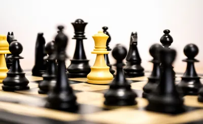 Illustration sac - Image 1