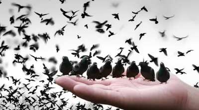 Illustration reclaimed - Image 1