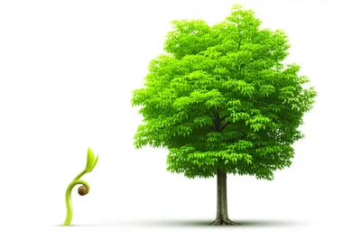 Illustration enlarging