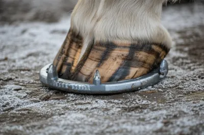 Illustration rough - Image 1