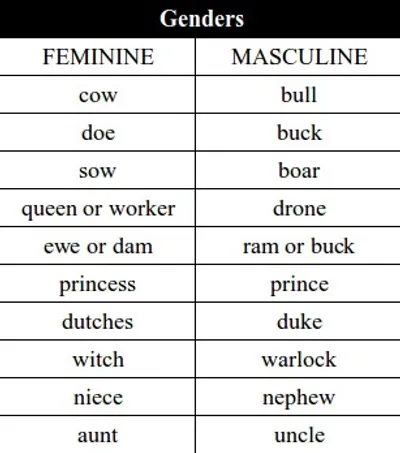 Illustration feminine - Image 2