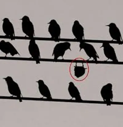 Illustration idiosyncratic - Image 2