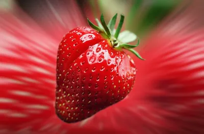 Illustration popping - Image 1