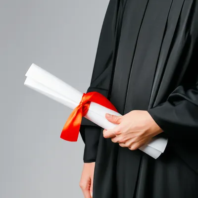 Illustration graduate - Image 1