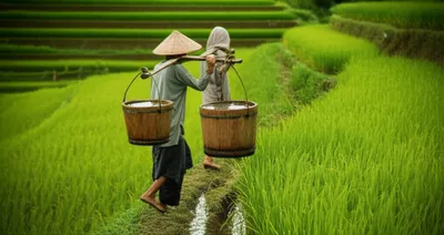 Illustration soe - Image 1