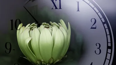 Illustration moveable - Image 1