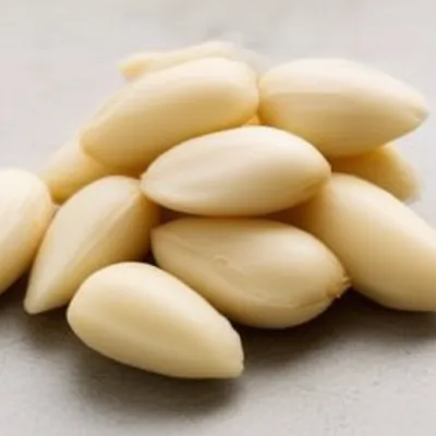 Illustration almonds - Image 1