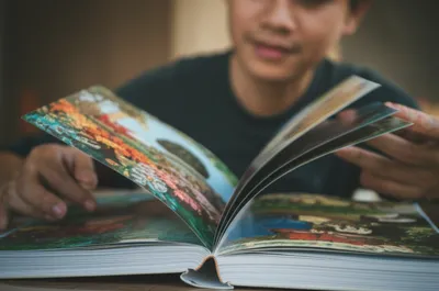 Illustration leafing - Image 1