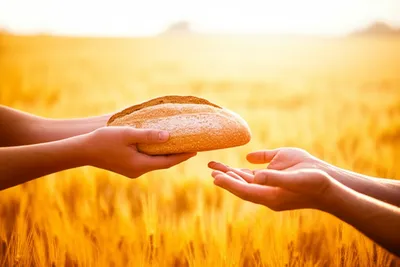 Illustration lent - Image 1