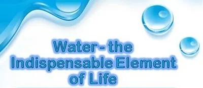 Illustration indispensable - Image 2