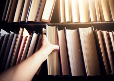 Illustration deposes - Image 2