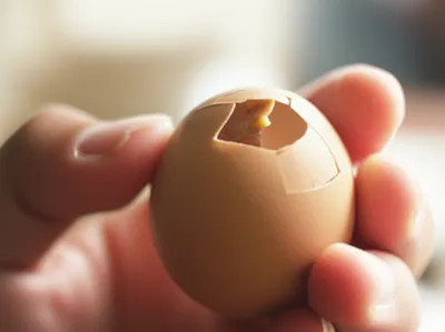 Illustration clutched - Image 1