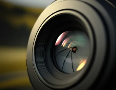 Illustration iris - Image 1