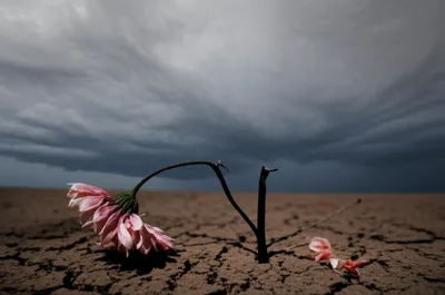 Illustration suicided - Image 1