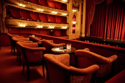 Illustration loge - Image 1