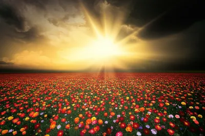 Illustration dispel - Image 1