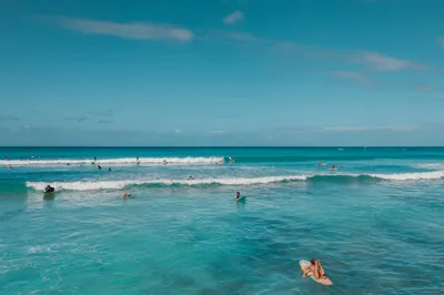 Illustration boarders - Image 2