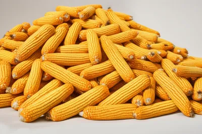 Illustration waste - Image 1