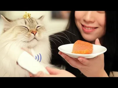 Illustration humored - Image 1