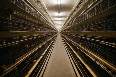 Illustration batteries - Image 1