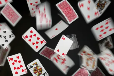 Illustration shuffles - Image 1