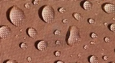 Illustration proof - Image 2