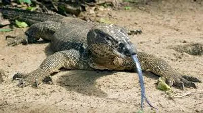 Illustration monitor - Image 2