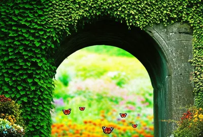 Illustration entrances - Image 1