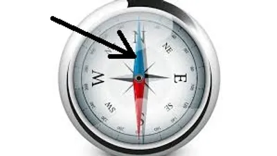 Illustration needle - Image 2