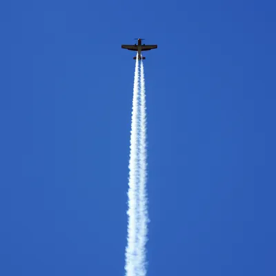 Illustration zoomed - Image 1