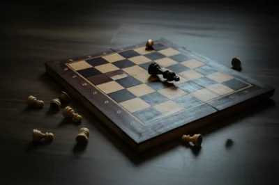 Illustration bodies - Image 1