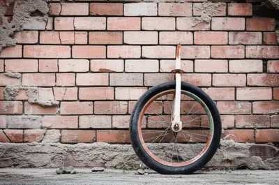 Illustration halted - Image 1