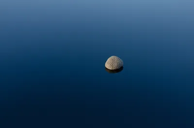 Illustration min - Image 1