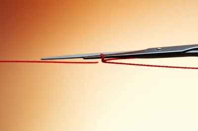 Illustration cuts - Image 1